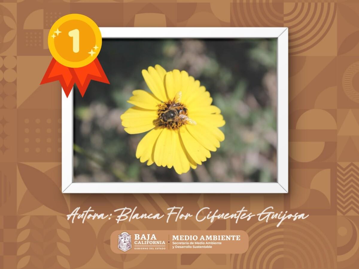 FOTOGRAFÍA GANADORA DEL PRIMER LUGAR EN EL RALLY UNIVERSITARIO, REALIZADO EN EXPO AMBIENTE 2025