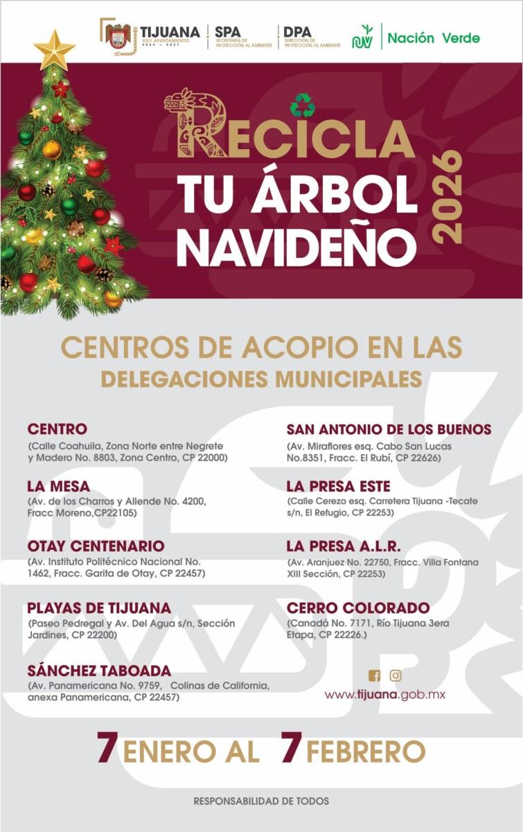 CENTROS DE ACOPIO DE ÁRBOLES DE NAVIDAD