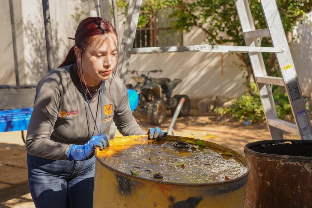 Continúa Salud Sonora con acciones de prevención del dengue en la entidad