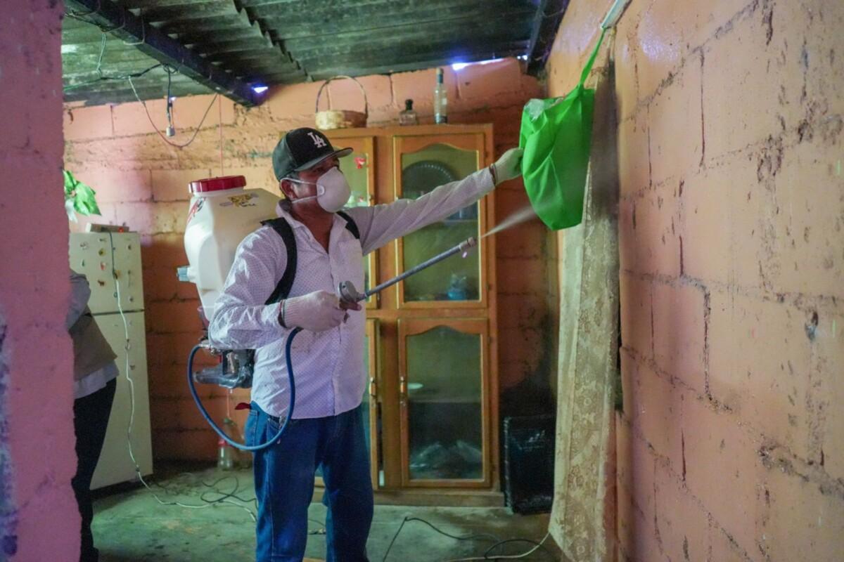 Salud Sonora intensifica prevención y seguimiento de casos de fiebre manchada