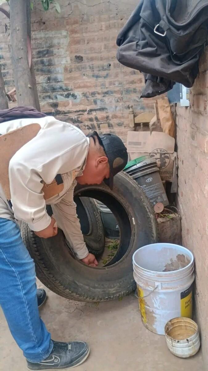 Llama Salud Sonora a reforzar medidas contra el dengue por recientes lluvias