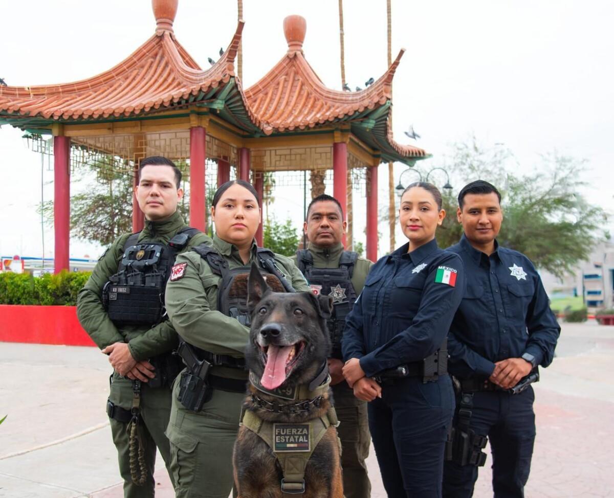 NUESTRO RECONOCIMIENTO Y APOYO A LOS POLICÍAS HONESTOS DE TODAS LAS CORPORACIONES: GENERAL CARRILLO