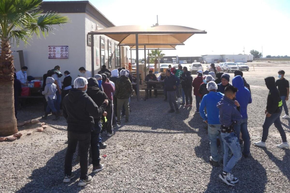 MANTIENE BAJA CALIFORNIA CONTROL DEL SARAMPIÓN; SE REFUERZA LA VACUNACIÓN EN ZONAS AGRÍCOLAS