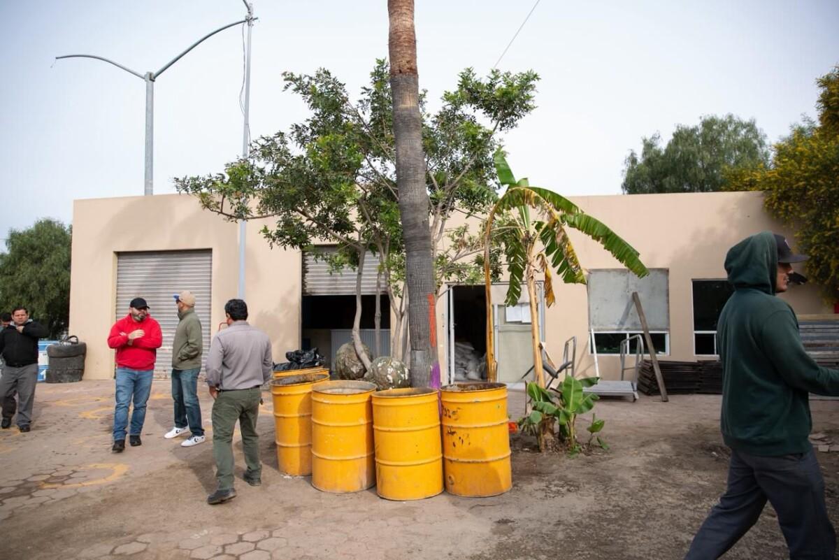 Adecuan talleres de Servicios Urbanos en la colonia Benito Juárez