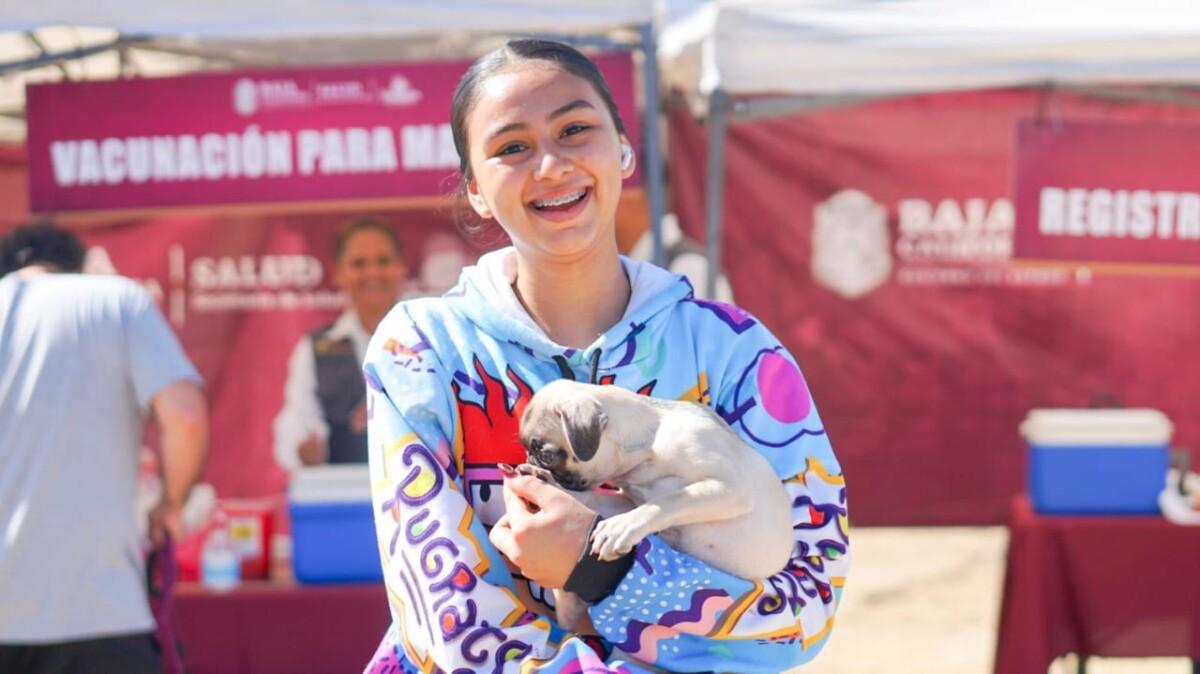 DESTACAN ACCIONES A FAVOR DE LAS MASCOTAS CON PROGRAMAS GRATUITOS DE SALUD