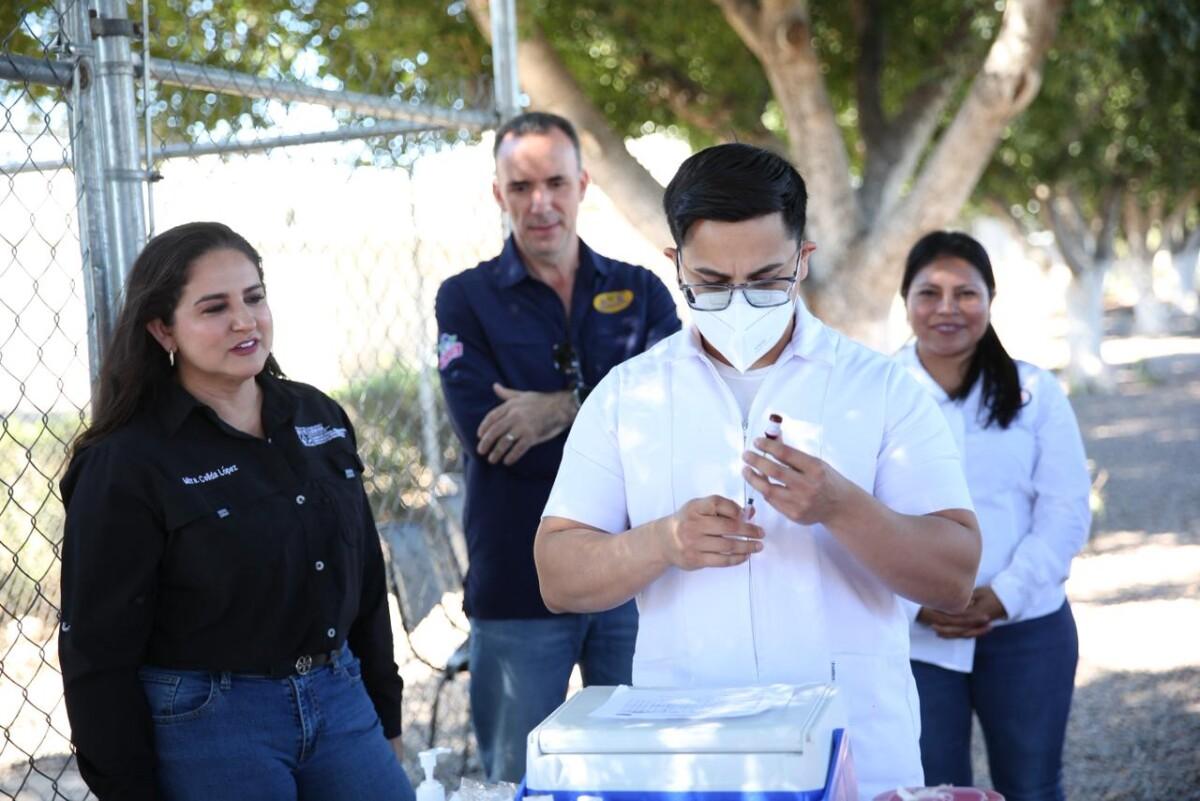 Gobierno de Sonora refuerza coordinación para prevenir sarampión en zonas productivas