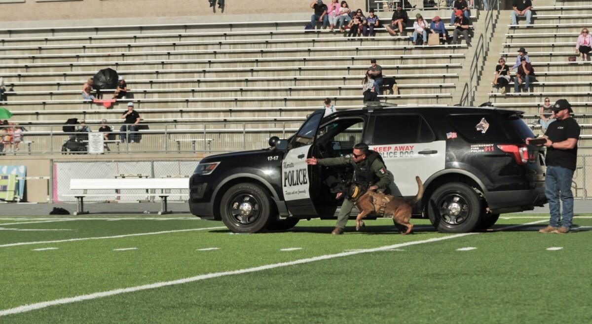 Destaca Unidad de Operaciones Caninas de Tijuana en competencia internacional en Estados Unidos