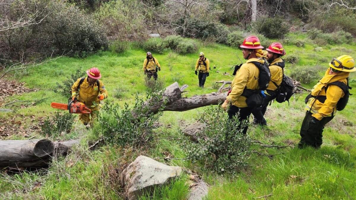 Brigadistas forestales refuerzan acciones preventivas ante la temporada de incendios