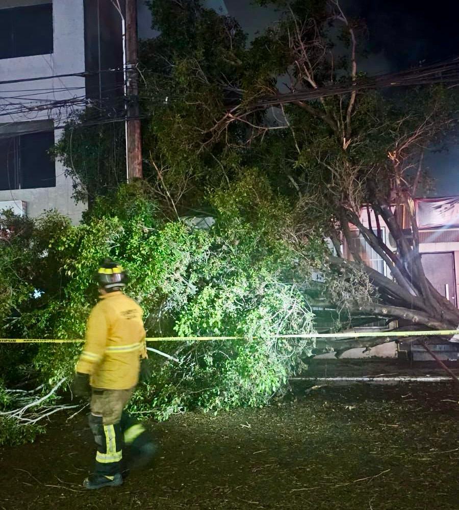 Atiende XXV Ayuntamiento de Tijuana más de 60 reportes de incidencias por lluvias