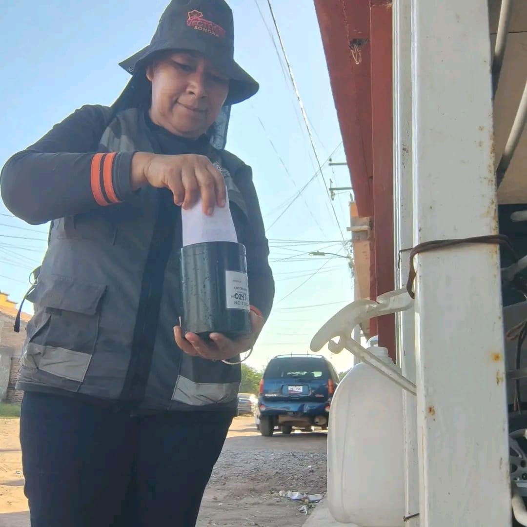 Refuerza Salud Sonora acciones preventivas contra el dengue