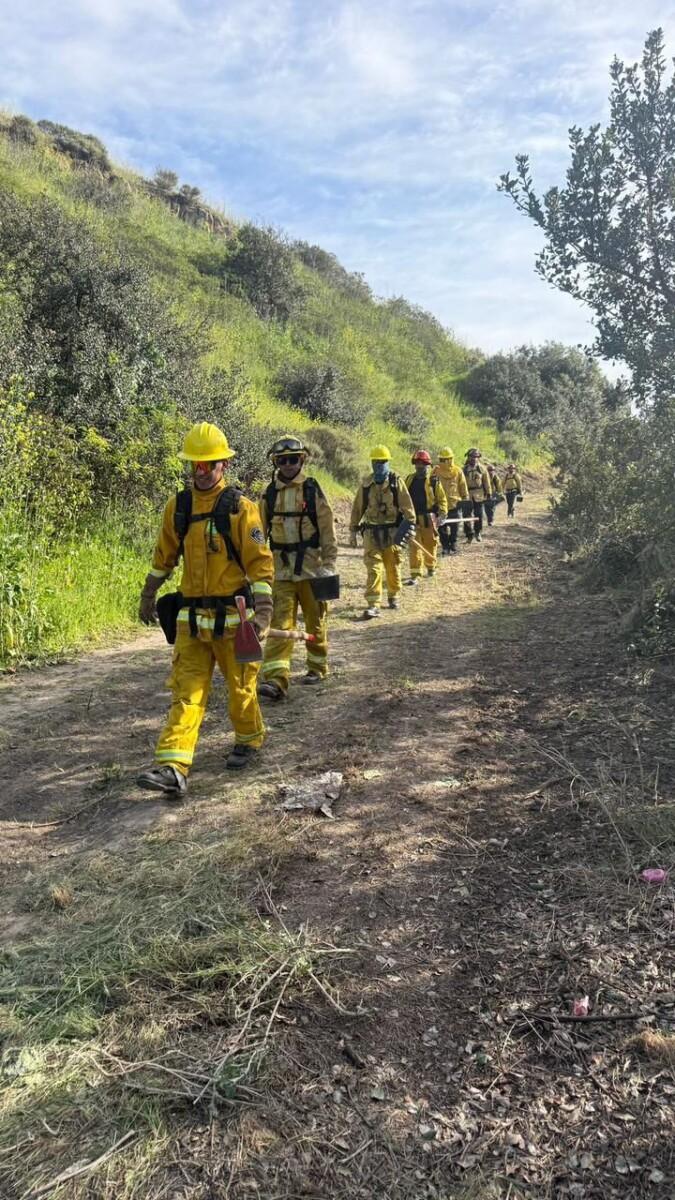 Gobierno de Rosarito continúa realizando acciones preventivas para reducir riesgo de incendios forestales