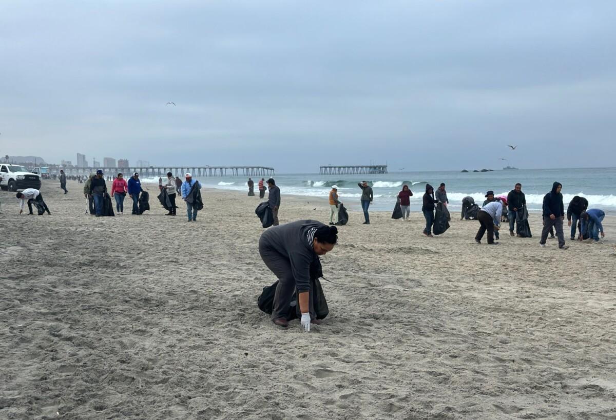 Realiza ZOFEMAT jornada de limpieza en playas tras alta afluencia ciudadana durante el fin de semana