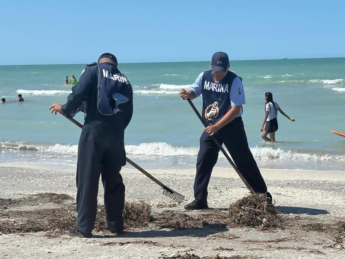 GRUPO INTERINSTITUCIONAL MANTIENE BRIGADAS PERMANENTES DE LIMPIEZA EN PLAYAS DEL GOLFO