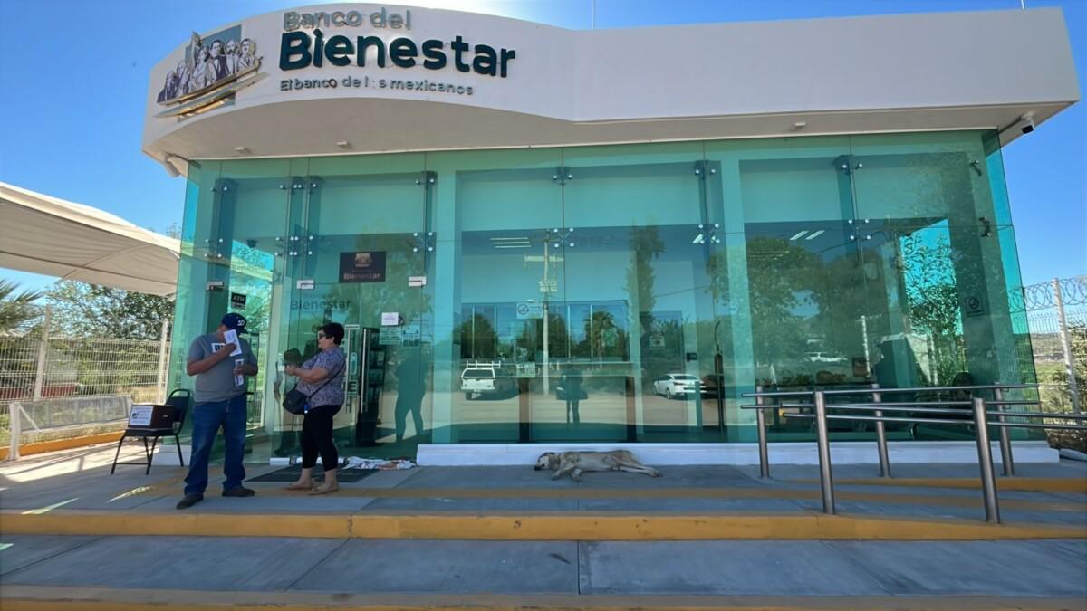 Llaman a beneficiarios a reportar extravío de tarjeta del Banco del Bienestar para su reposición