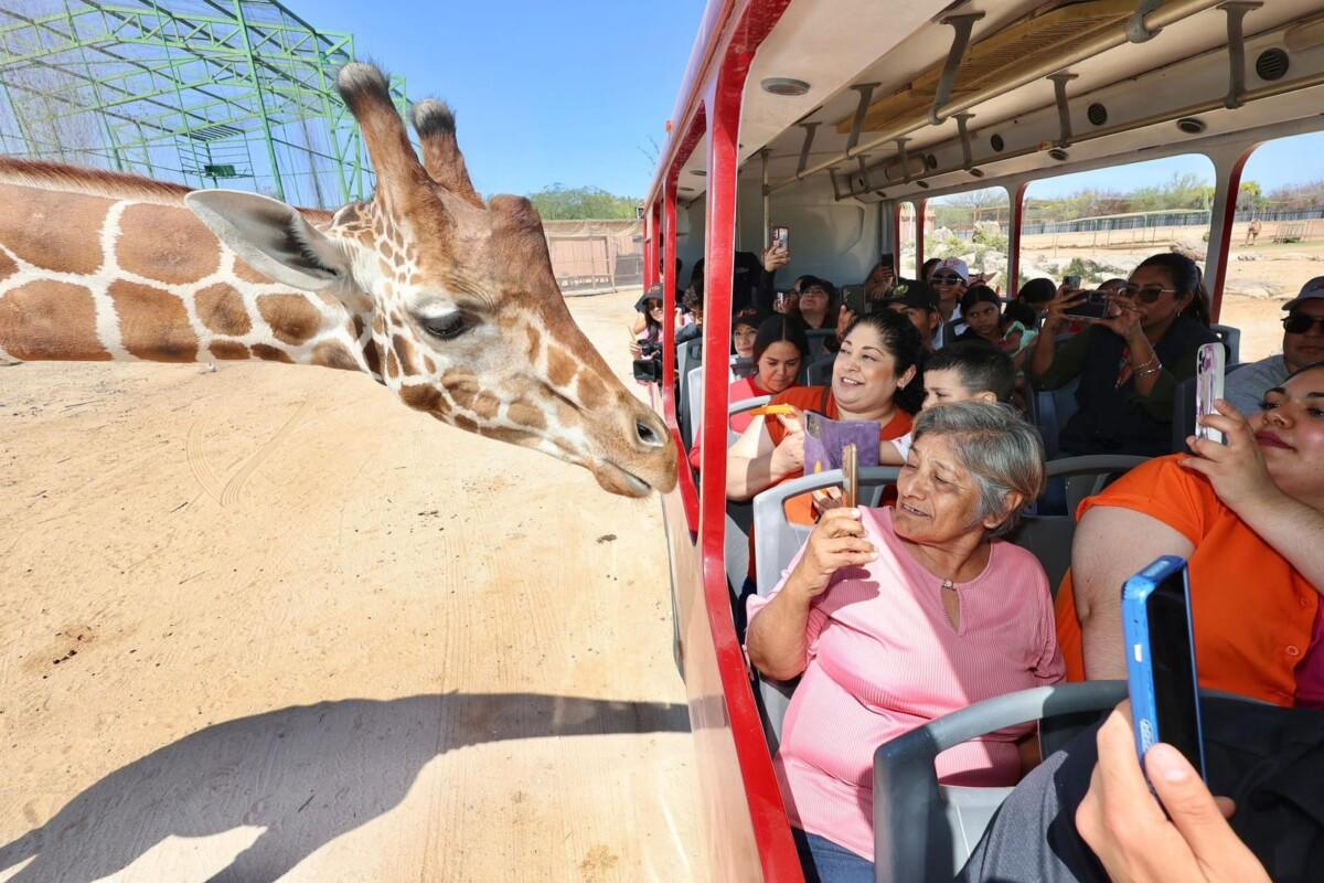Gobierno de Sonora registra alta afluencia en el Centro Ecológico durante Semana Santa