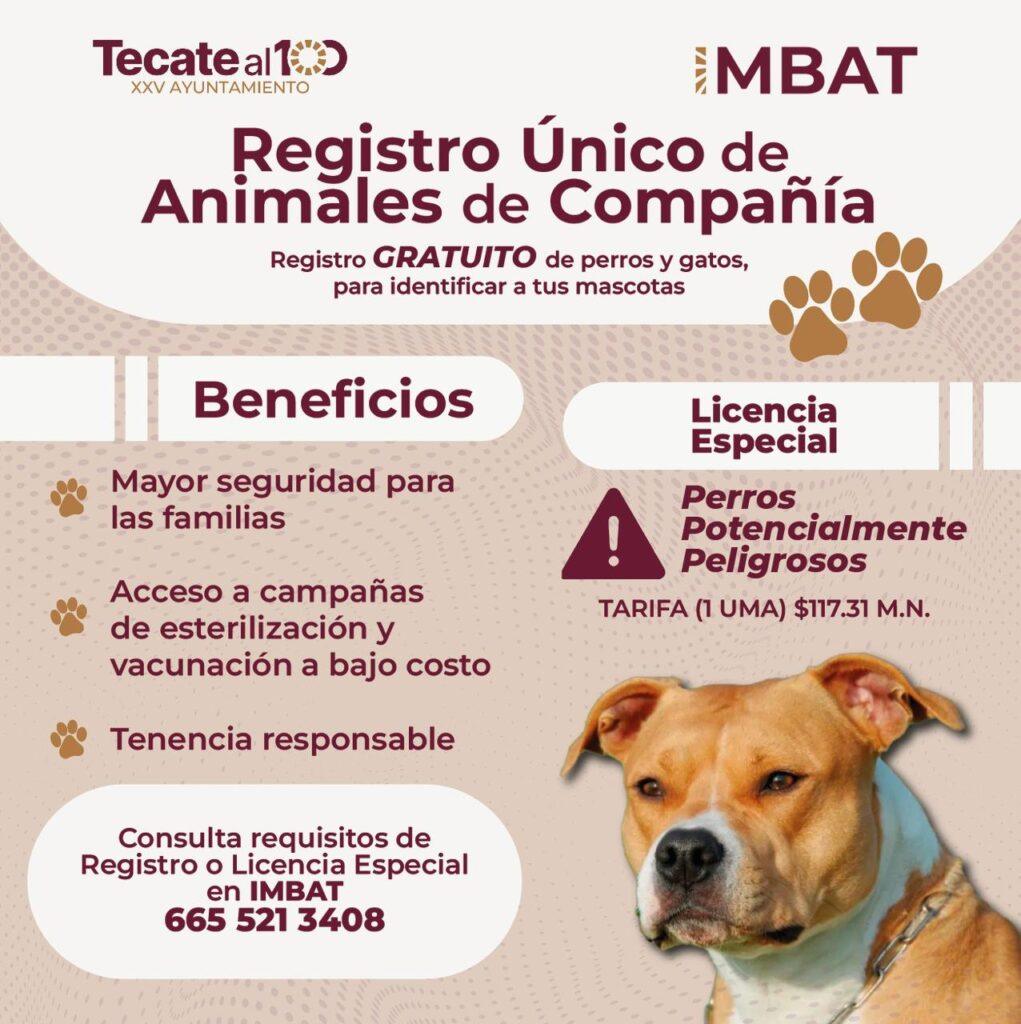 GOBIERNO DE TECATE IMPULSA EL REGISTRO GRATUITO DE MASCOTAS Y LA REGULACIÓN PARA CANINOS POTENCIALMENTE PELIGROSOS