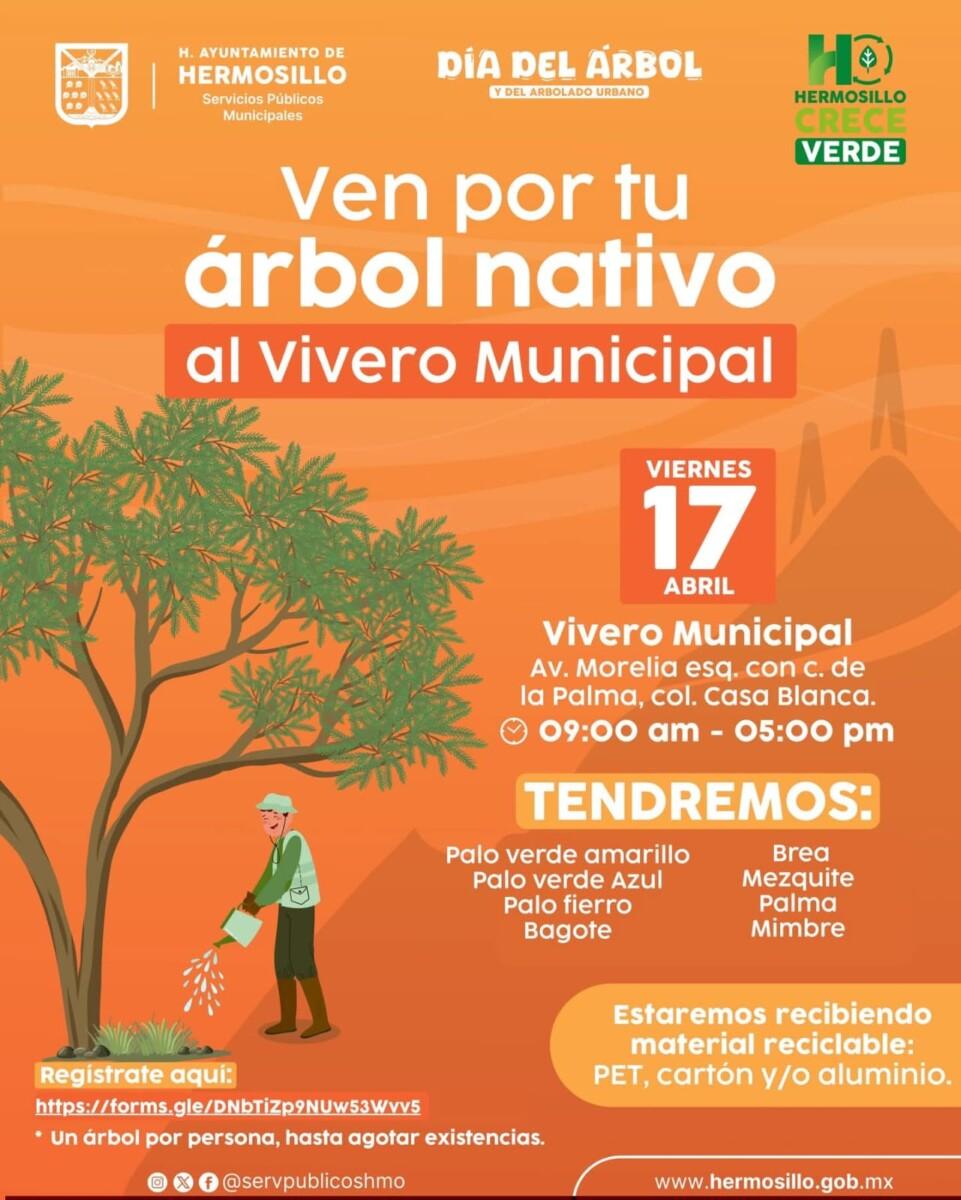 Invita Gobierno de Hermosillo a adoptar un árbol nativo este viernes 17 de abril