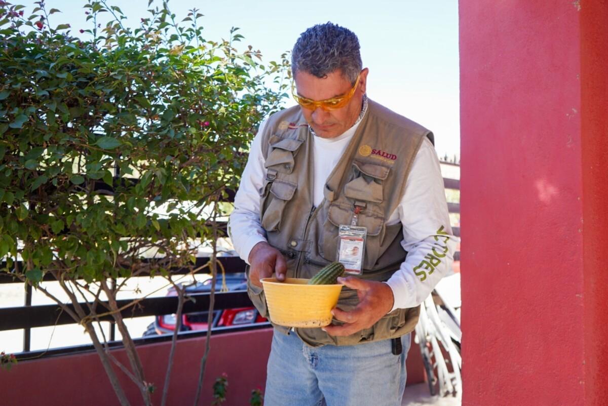 BAJA CALIFORNIA, REFERENTE NACIONAL CON 35 AÑOS SIN PALUDISMO AUTÓCTONO