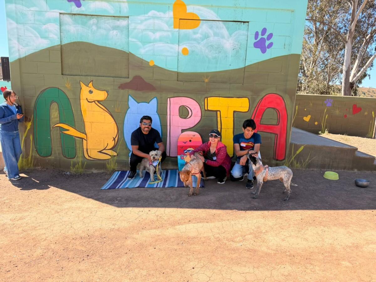 Fomenta Gobierno de Playas de Rosarito el bienestar animal a través de paseo canino