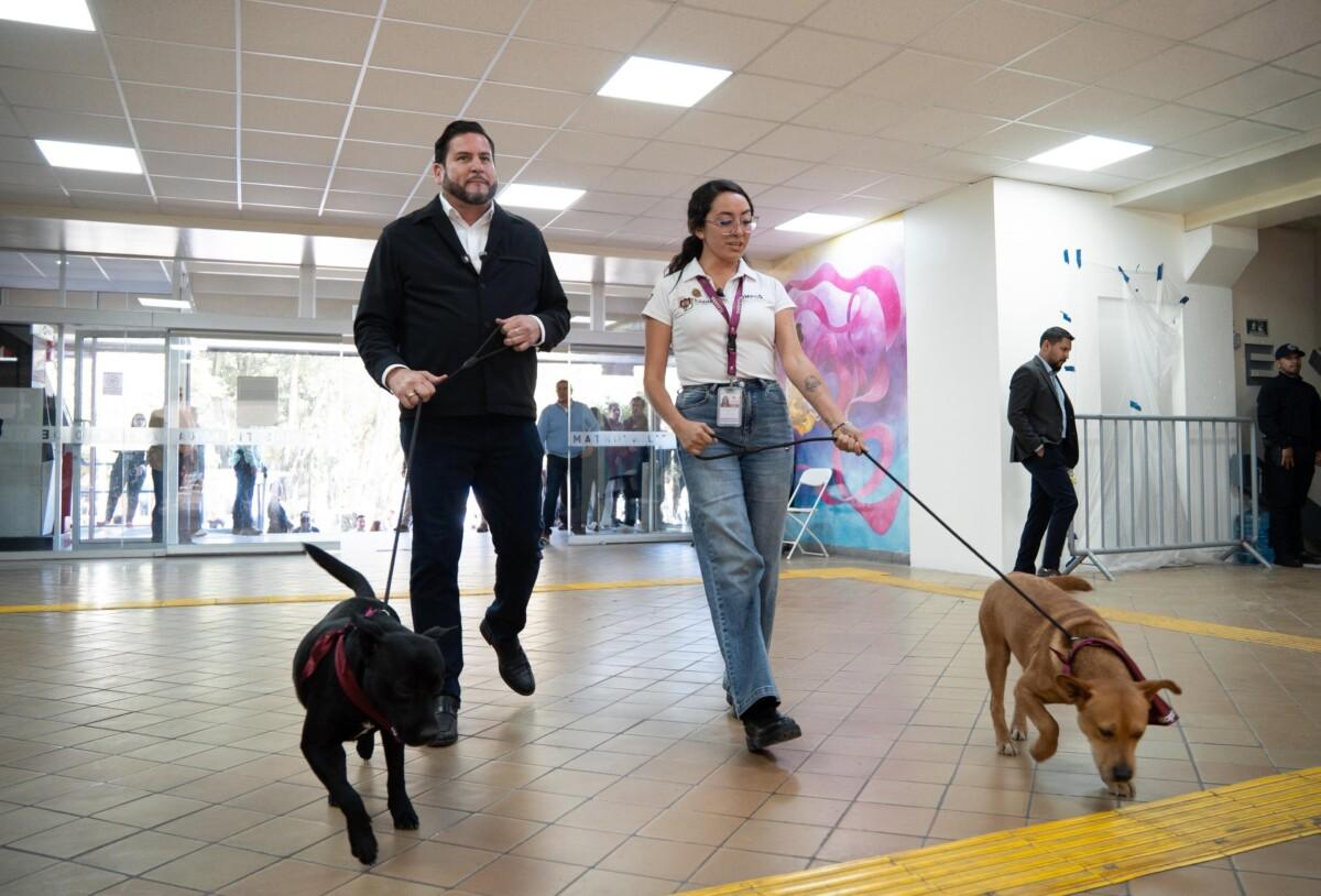 Declara Ismael Burgueño a Palacio Municipal como espacio pet friendly