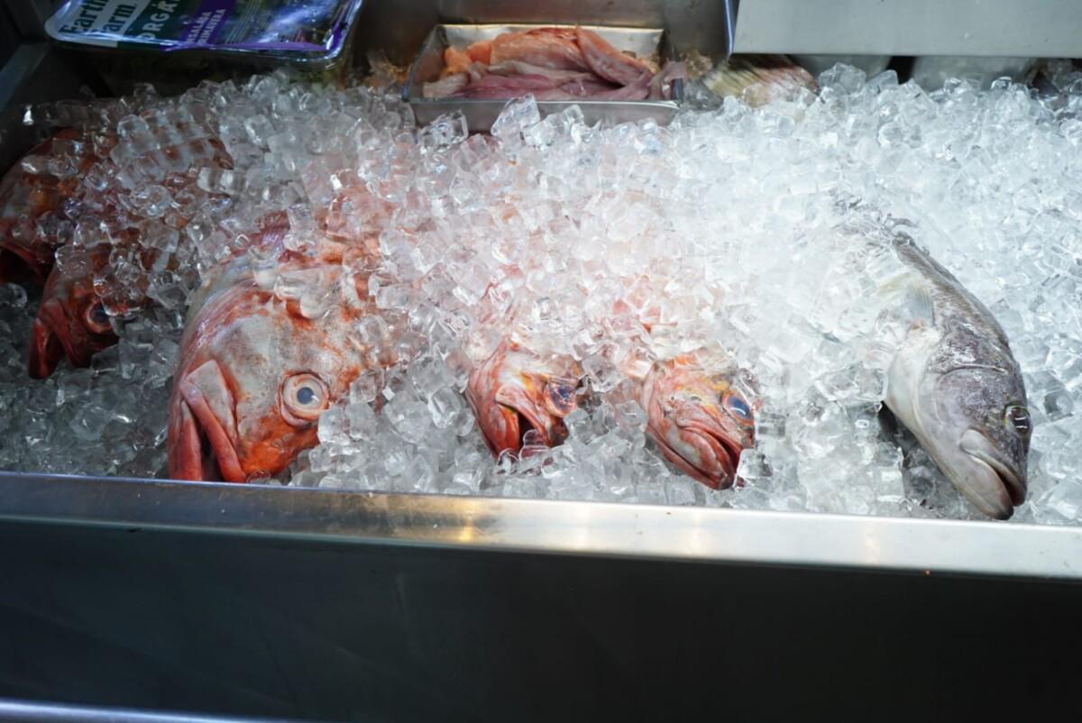 EMITEN RECOMENDACIONES DE SALUD PARA EL CONSUMO SEGURO DE PESCADOS Y MARISCOS EN SEMANA SANTA