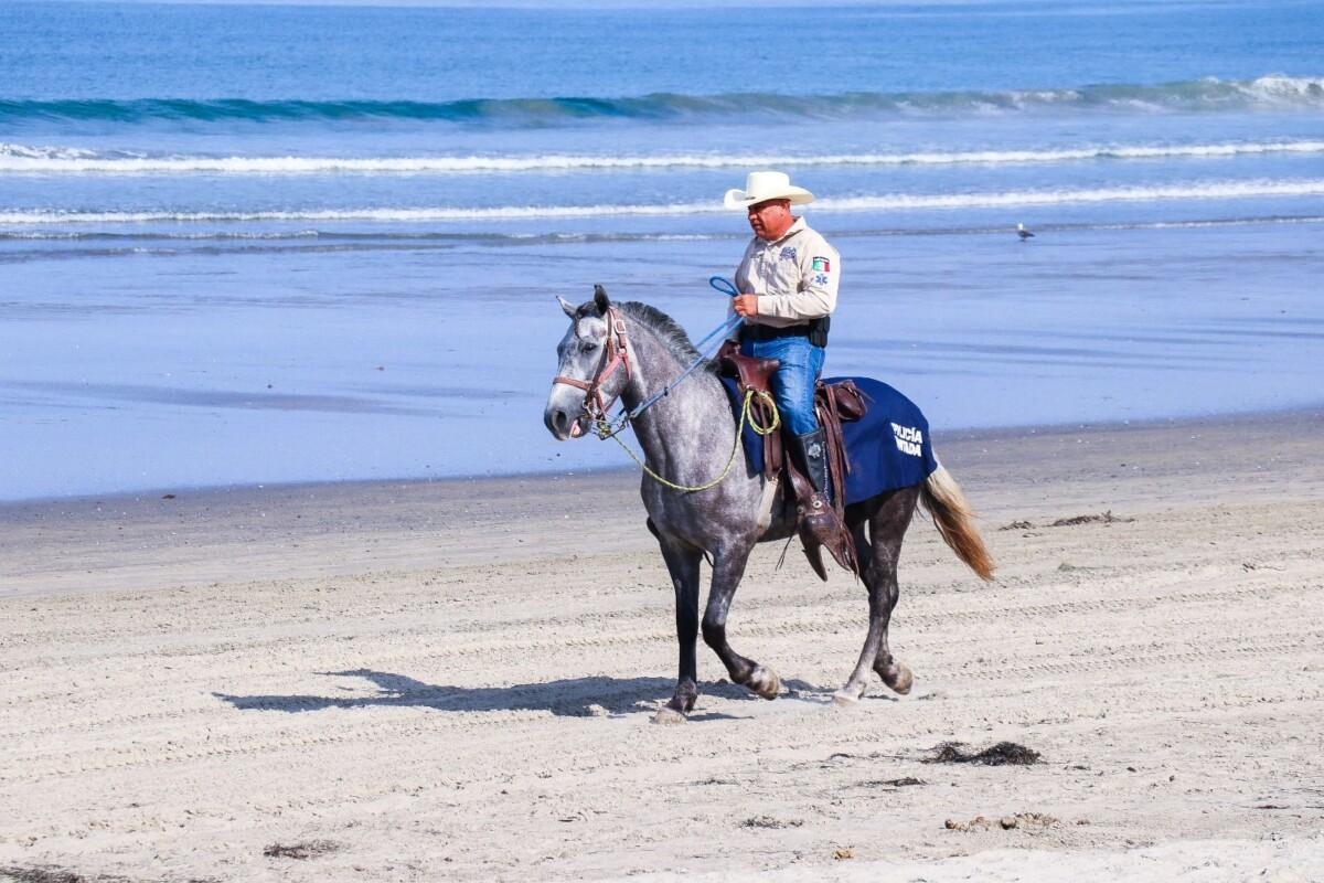 SECRETARIA DE MEDIO AMBIENTE REITERA RECOMENDACIONES PARA PROTEGER EL ENTORNO NATURAL EN ESTA SEMANA SANTA