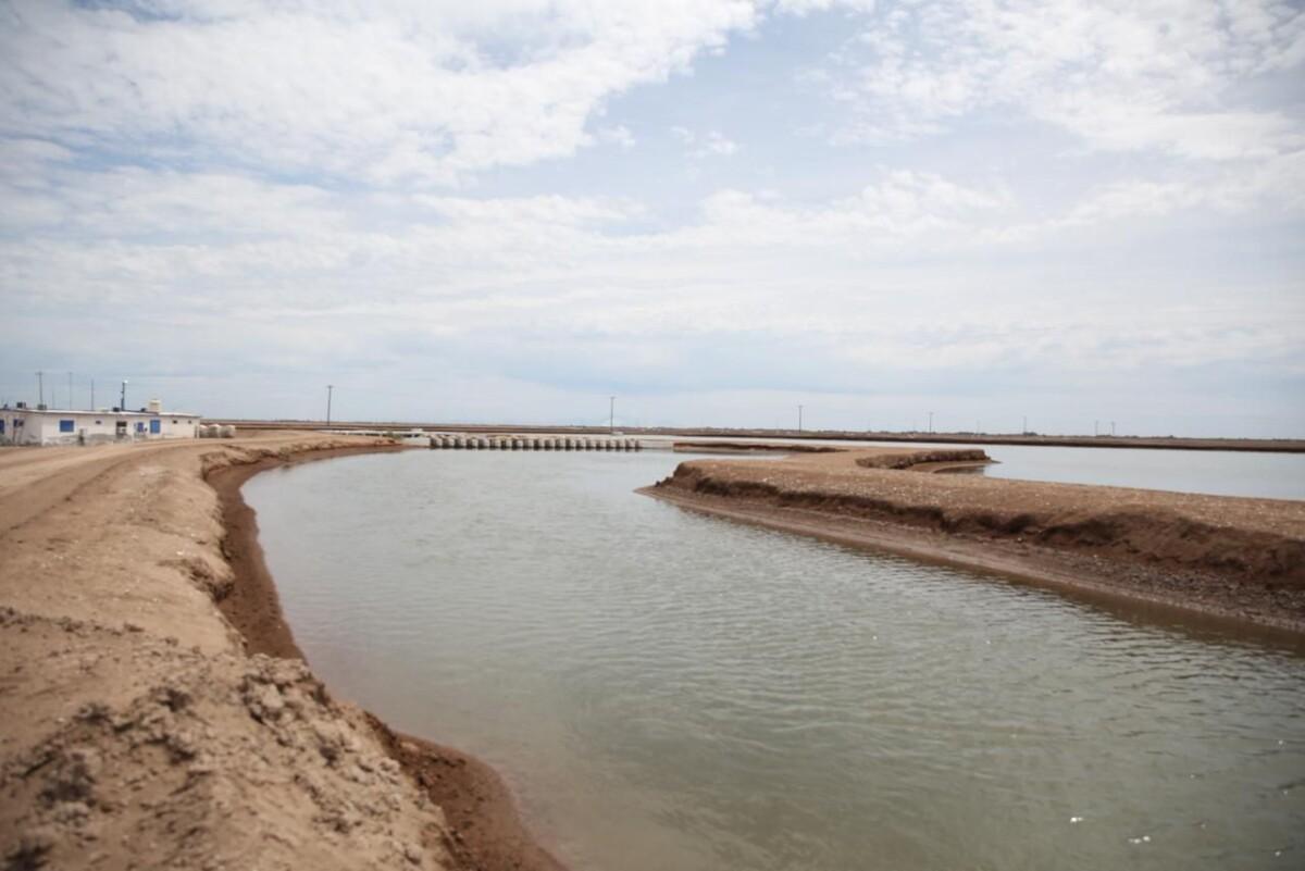 Fortalece Gobierno de Sonora diálogo y acciones con el sector pesquero ribereño