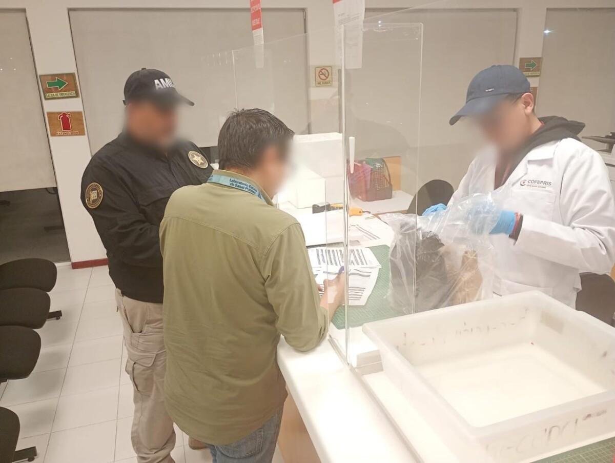 INVESTIGAN EL CONTENIDO DEL “SUERO DE LA MUERTE” QUE DEJO CUATRO PERSONAS MUERTAS Y OTRAS CON PROBLEMAS DE SALUD EN SONORA, SIN DETENIDOS
