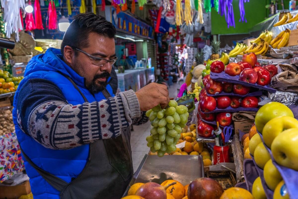 SADER Sonora estima producción de 16 millones de cajas de uva de mesa en Hermosillo, 10% más que en 2025