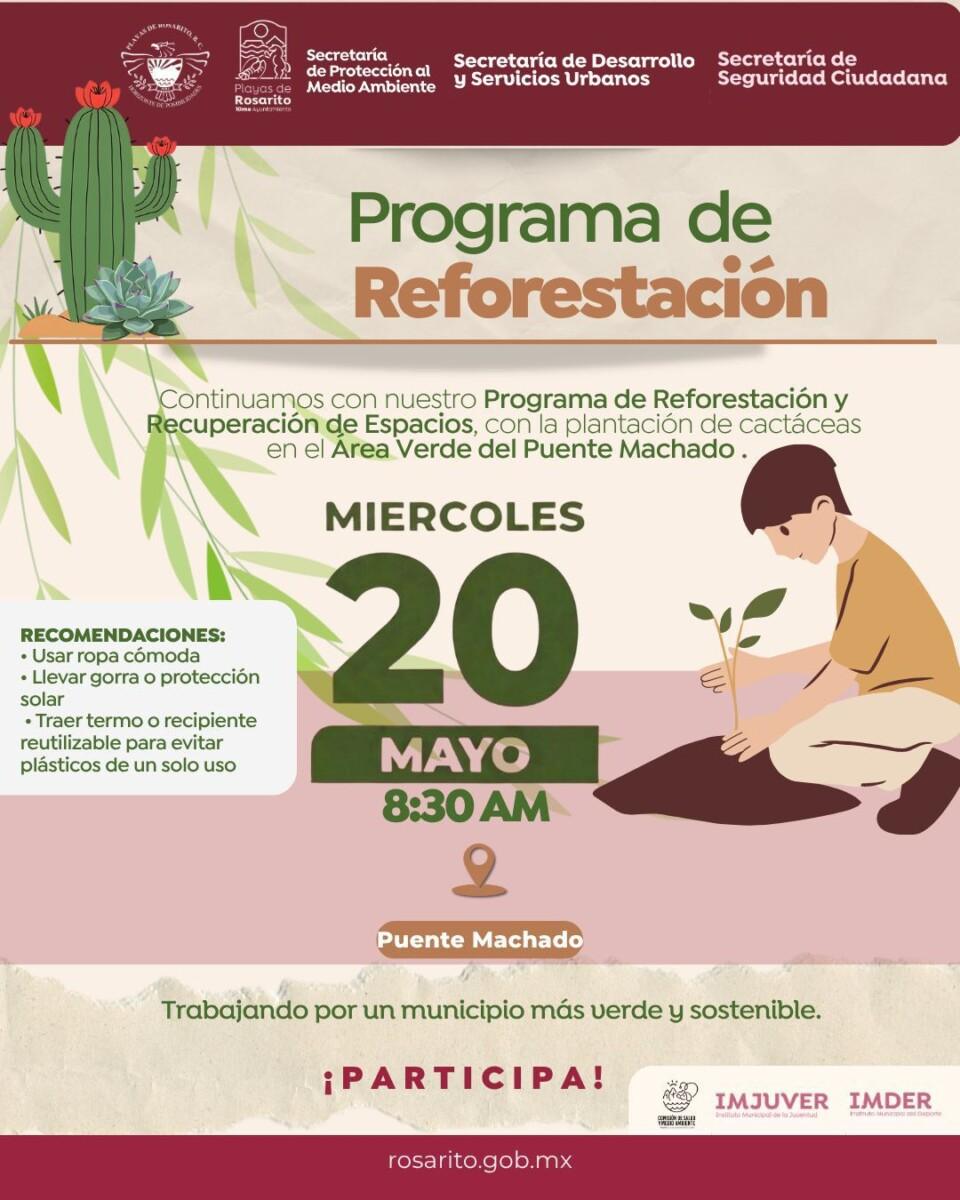 Impulsa Gobierno de Playas de Rosarito programa de reforestación y recuperación de espacios públicos