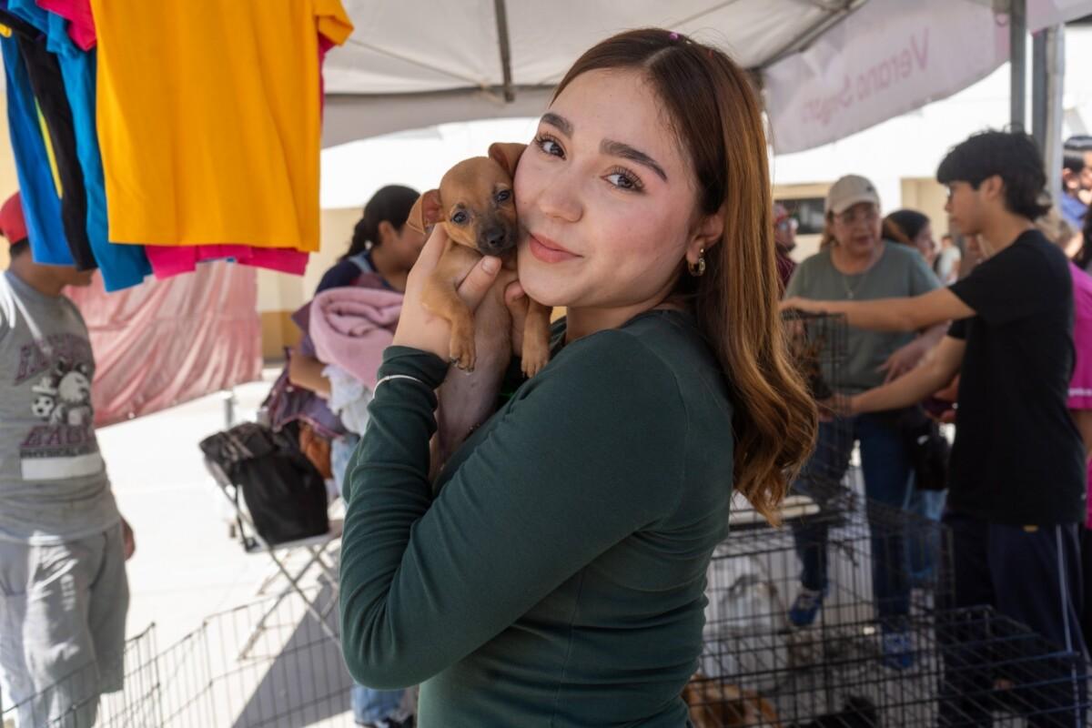 CUENTA BAJA CALIFONIA CON SERVICIO DE ESTERILIZACIÓN DE MASCOTAS SIN COSTO PARA LA POBLACIÓN