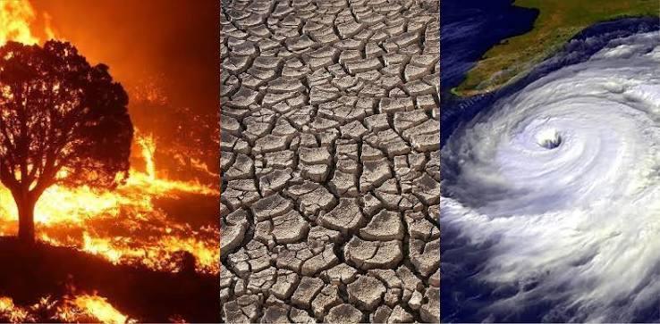 MÉXICO EN CUARTO LUGAR  DE ALTA INTERRUPCIÓN EN CENTRO DE DATOS DE INTELIGENCIA ARTIFICIAL (IA) POR FENOMENOS EXTREMOS RELACIONADOS CON EL CAMBIO CLIMÁTICO