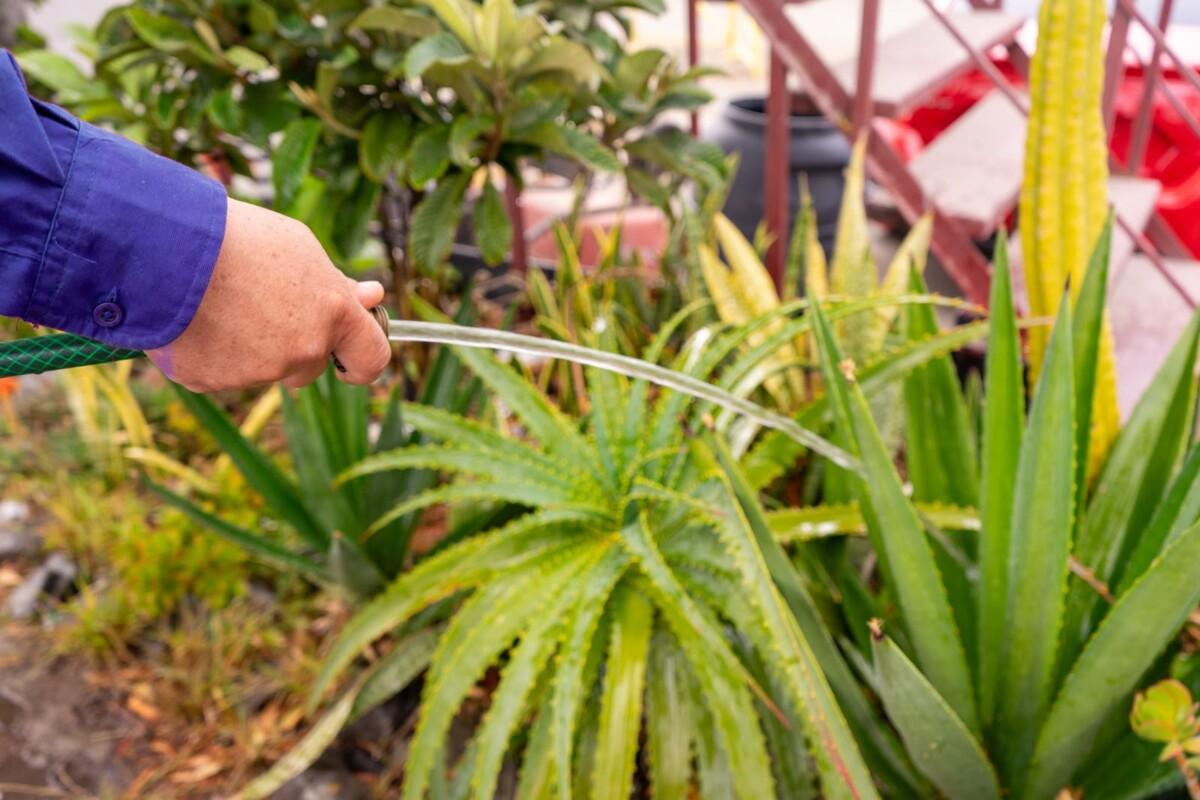 CESPT LLAMA A FORTALECER EL AHORRO DE AGUA DURANTE LA TEMPORADA DE CALOR