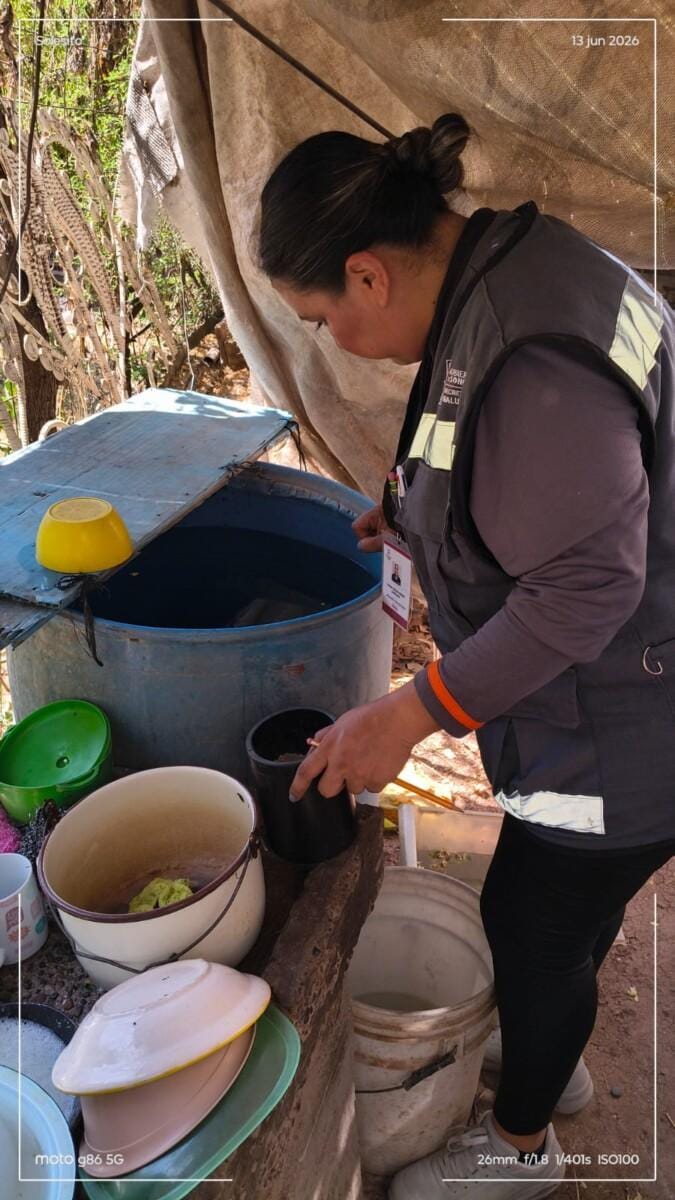 Llama Salud Sonora a reforzar medidas preventivas contra el dengue tras las lluvias