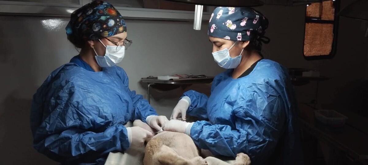 Firula recibió atención gratuita gracias a las Clínicas Móviles de Salud Sonora