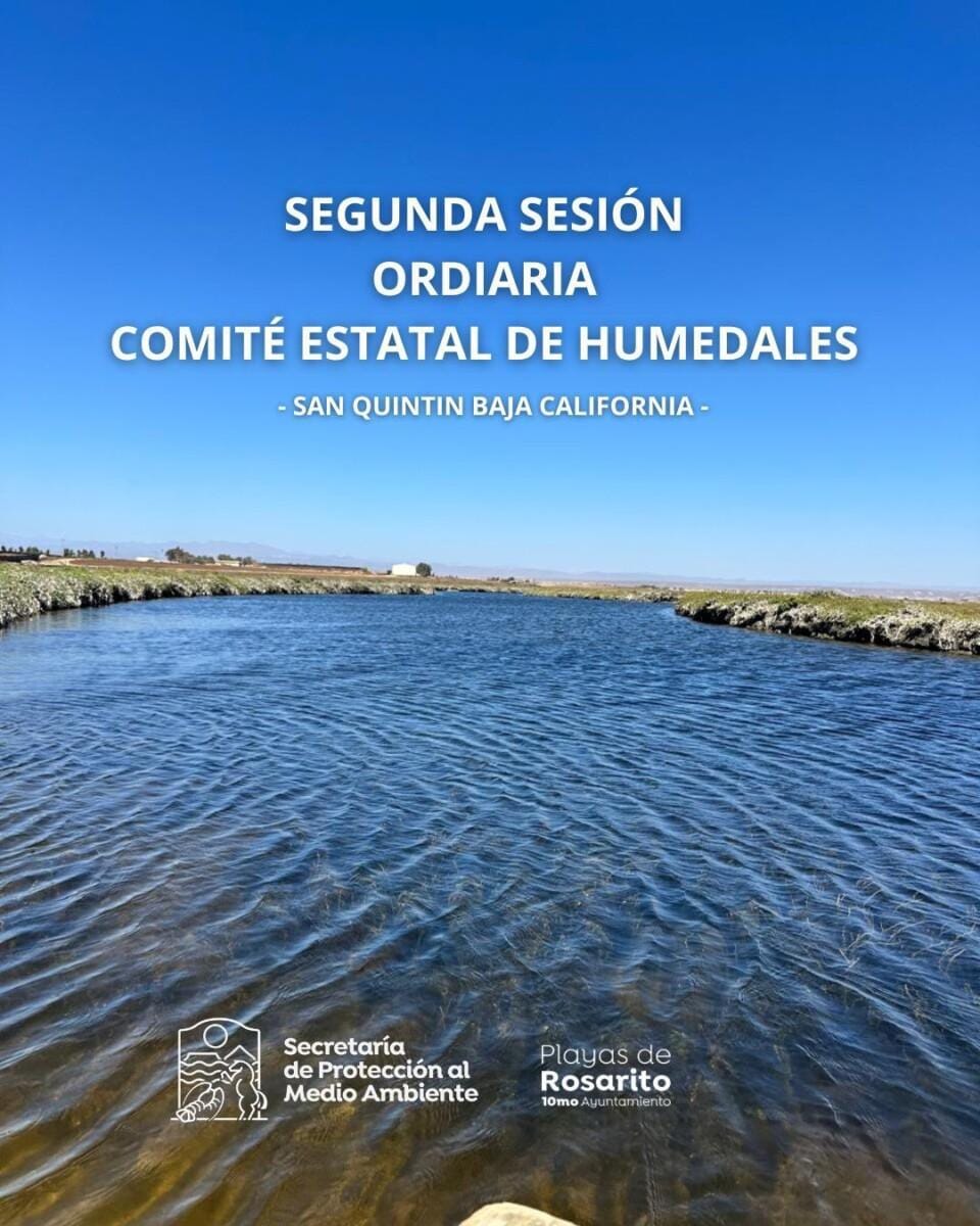 Playas de Rosarito participa en la Segunda Sesión Ordinaria del Comité Estatal de Humedales de Baja California