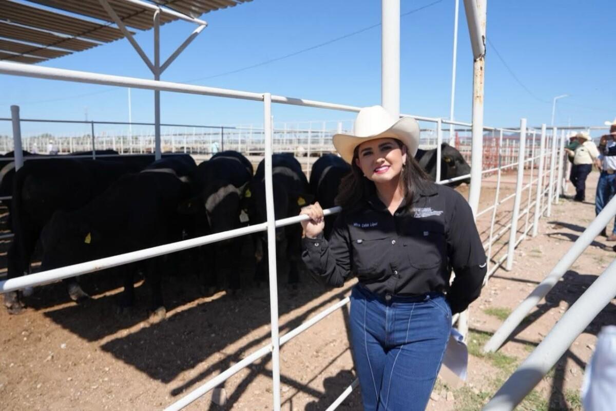 Refuerzan Sonora, México y Estados Unidos acciones para proteger la sanidad ganadera ante el gusano barrenador