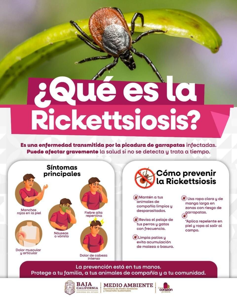 INVITA LA SECRETARÍA DE MEDIO AMBIENTE A PREVENIR LA RICKETTSIOSIS