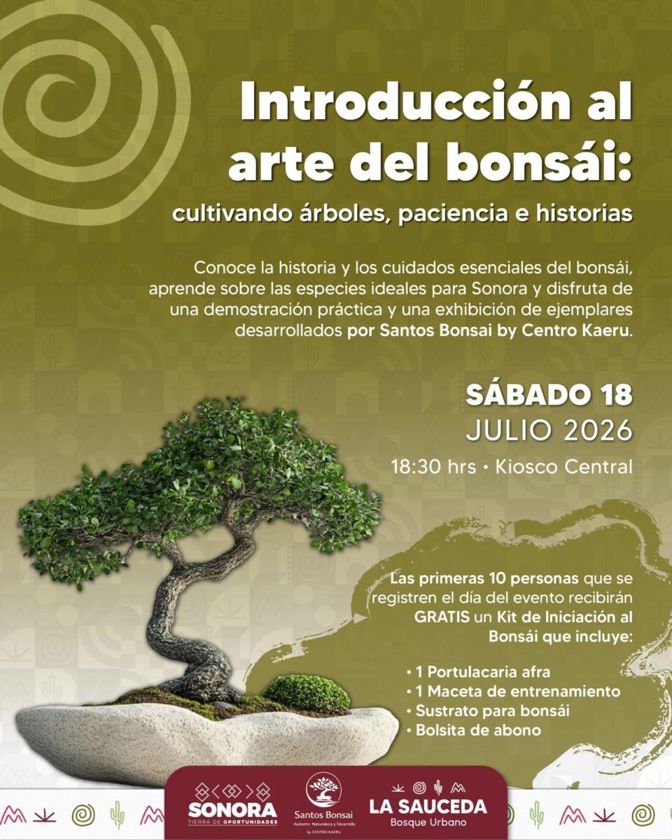EN HERMOSILLO INTRODUCCIÓN AL ARTE DEL BONSÁI