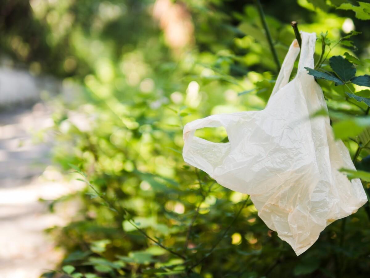 SECRETARÍA DE MEDIO AMBIENTE; POR UN FUTURO LIBRE DE BOLSAS DE PLÁSTICO