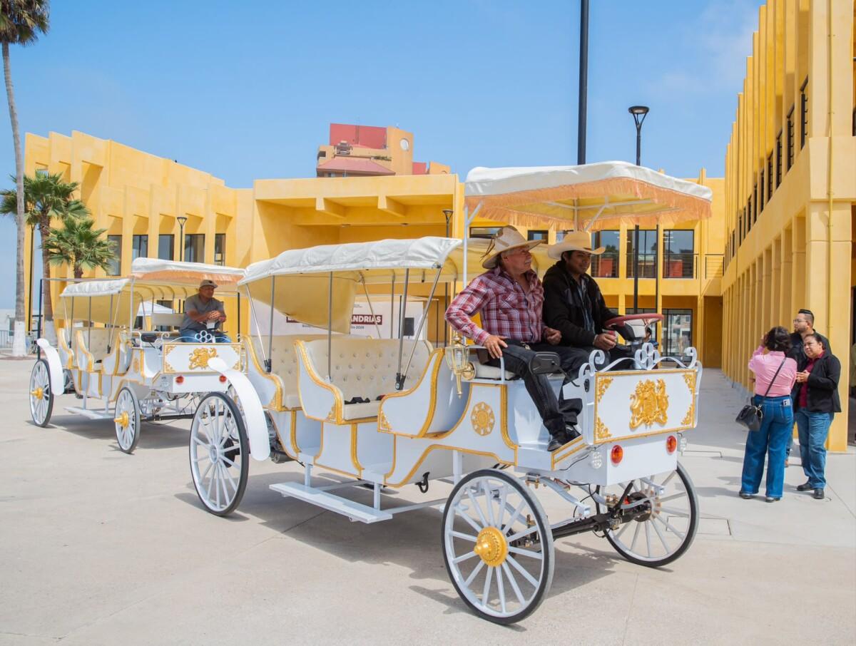 Gobierno de Rosarito transforma las calandrias en un atractivo turístico sustentable