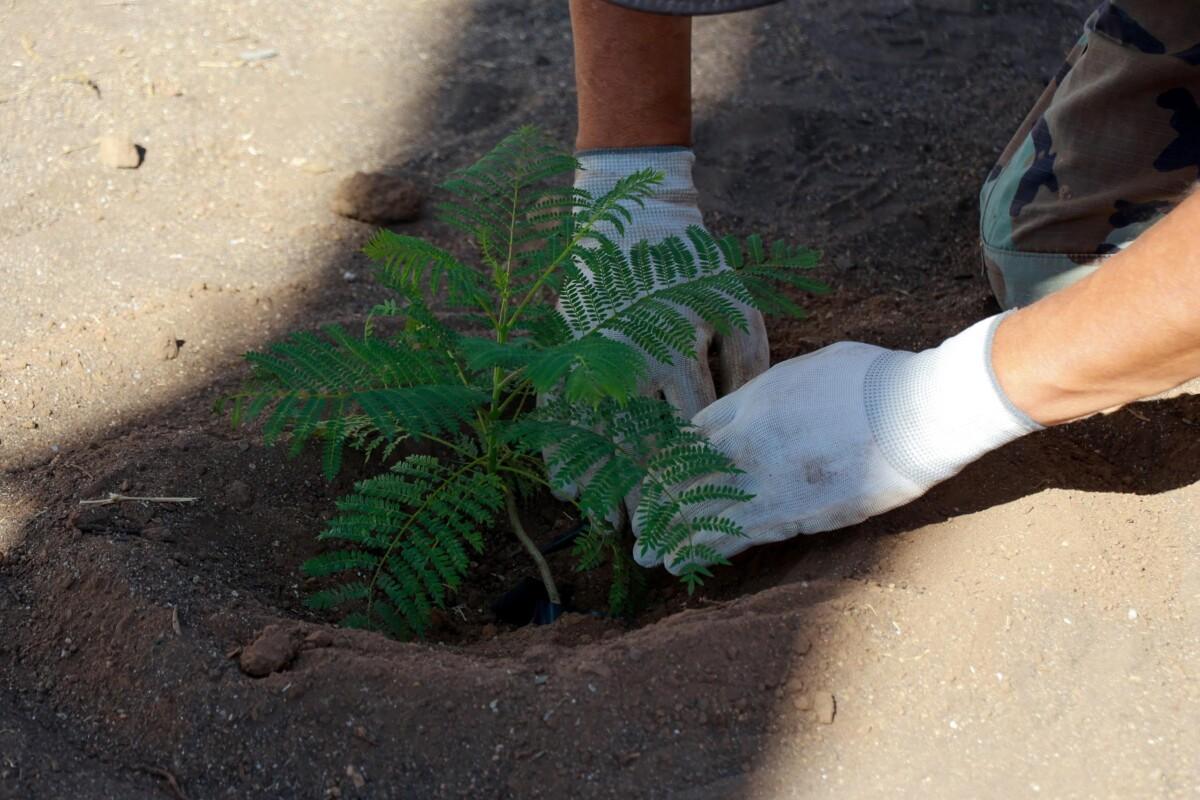 Participa alcalde a Abdiel Gutiérrez a Jornada de Reforestación y Limpieza en el Parque La Presa