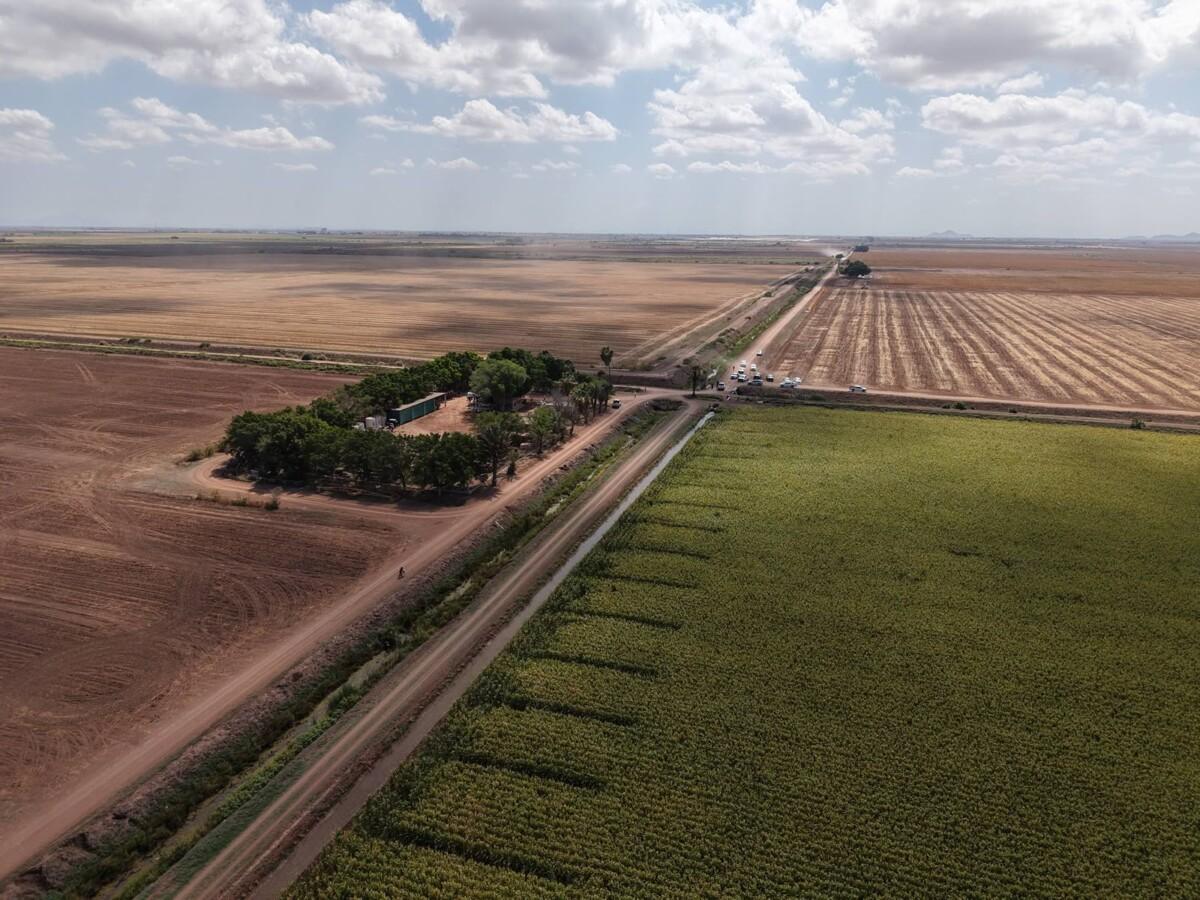 Sonora lidera el crecimiento del campo en el norte del país: Durazo