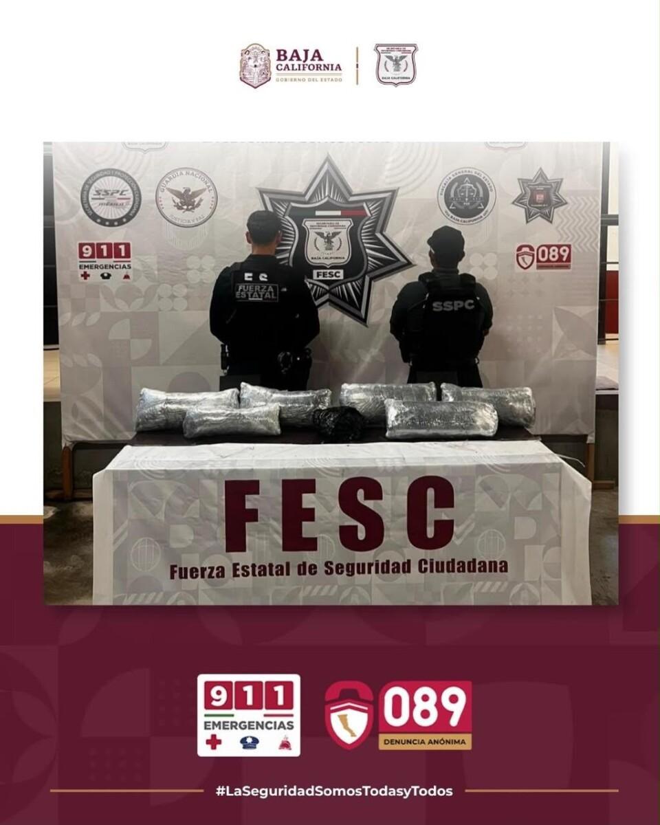 SSCBC ALERTA SOBRE MODALIDAD DE “MULA CIEGA” Y LLAMA A EXTREMAR PRECAUCIONES