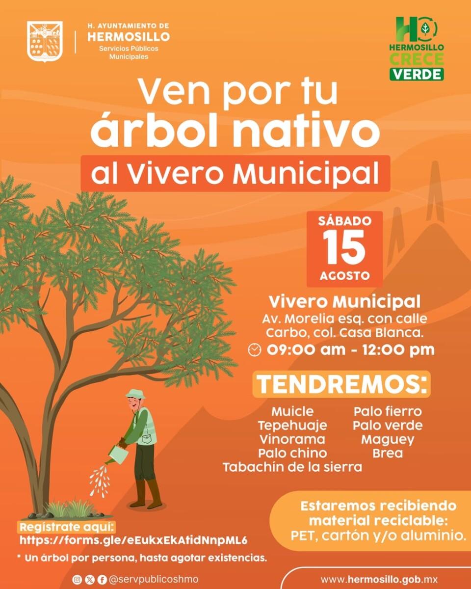 Invita Gobierno de Hermosillo a adoptar árboles nativos del Vivero Municipal