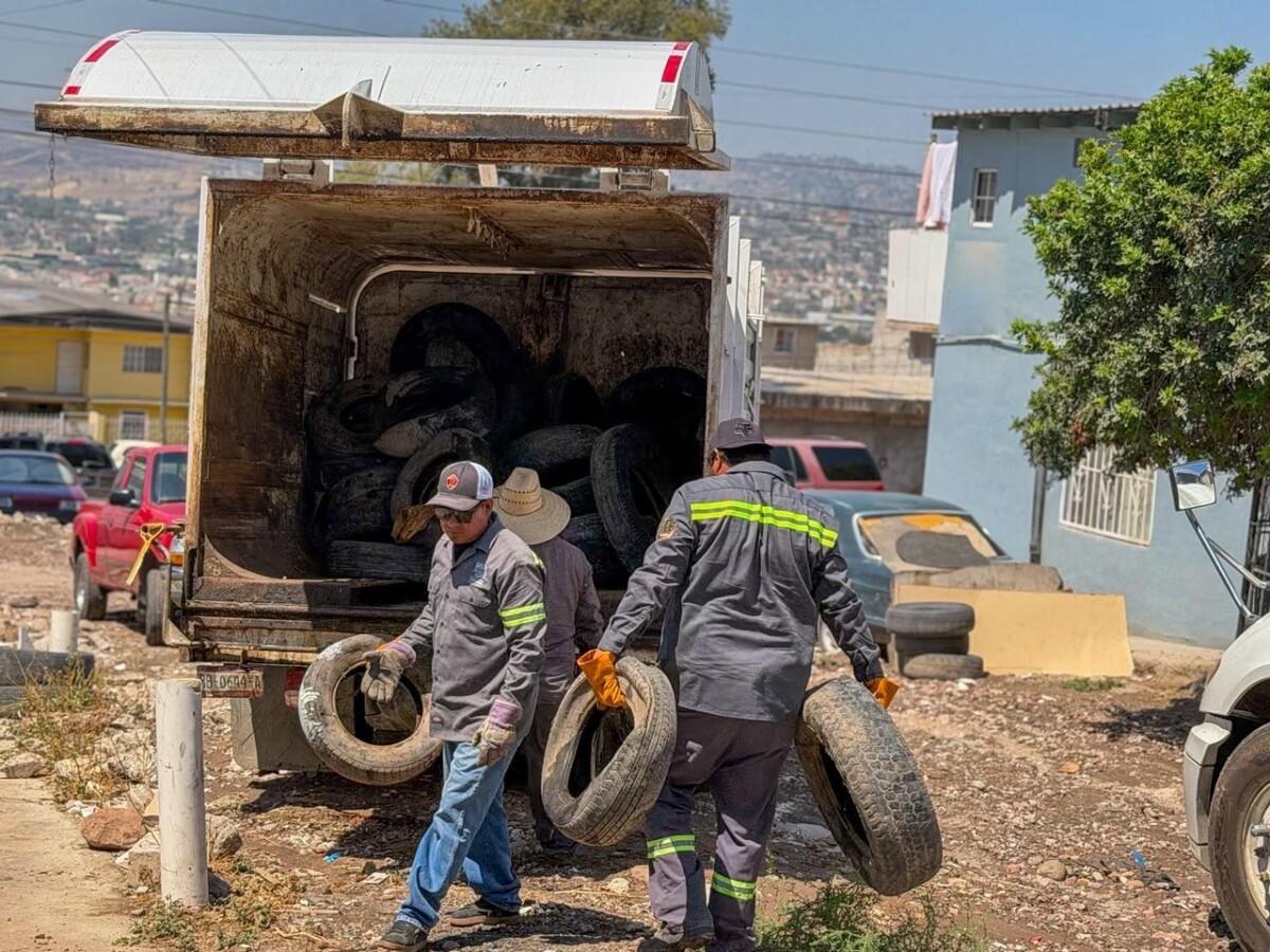 Beneficia Gobierno Municipal a cerca de 15 mil personas con acciones del programa ‘Tijuana: Ciudad Limpia’