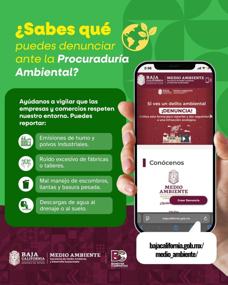 LA SECRETARÍA DE MEDIO AMBIENTE HACE UN LLAMADO A DENUNCIAR DELITOS AMBIENTALES
