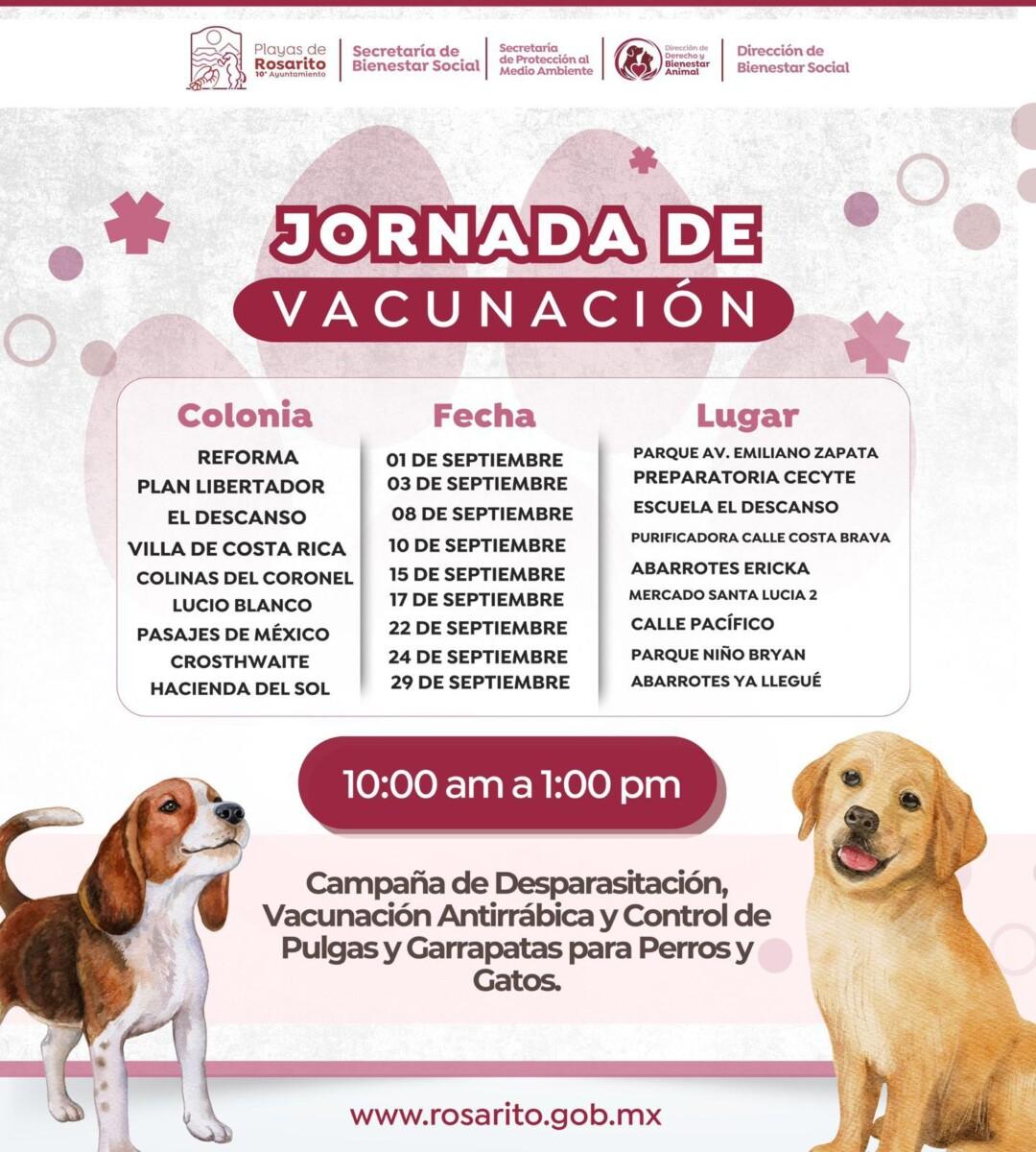 Invita Gobierno de Playas de Rosarito a cuidar la salud y bienestar de las mascotas durante septiembre