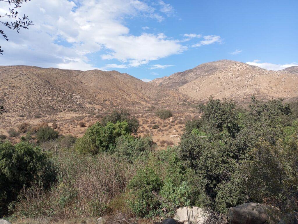 LOCALIZAN CUERPOS EN RANCHO LA UVA PODRÍAN TRATARSE DE CONNACIONALES. 